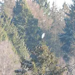 펜션 Riverside Escape In 부용