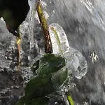 펜션 Riverside Escape In