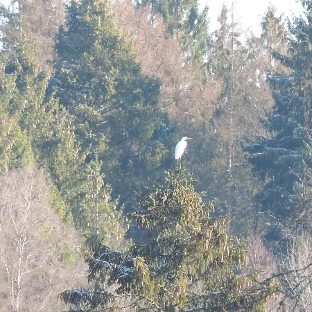 Casa de Férias Riverside Escape In Bouillon