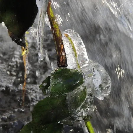 Tatil Evi Riverside Escape In