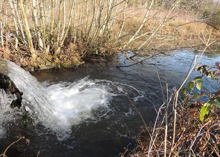 بيت للعطل Riverside Escape In