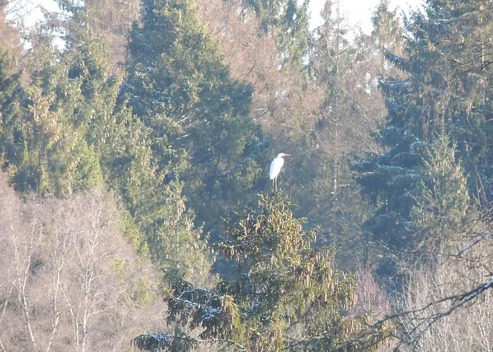 بيت للعطل Riverside Escape In بوالون