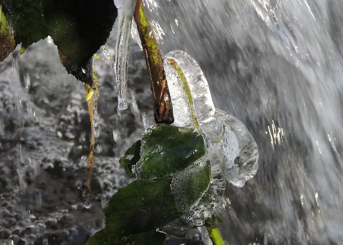 بيت للعطل Riverside Escape In